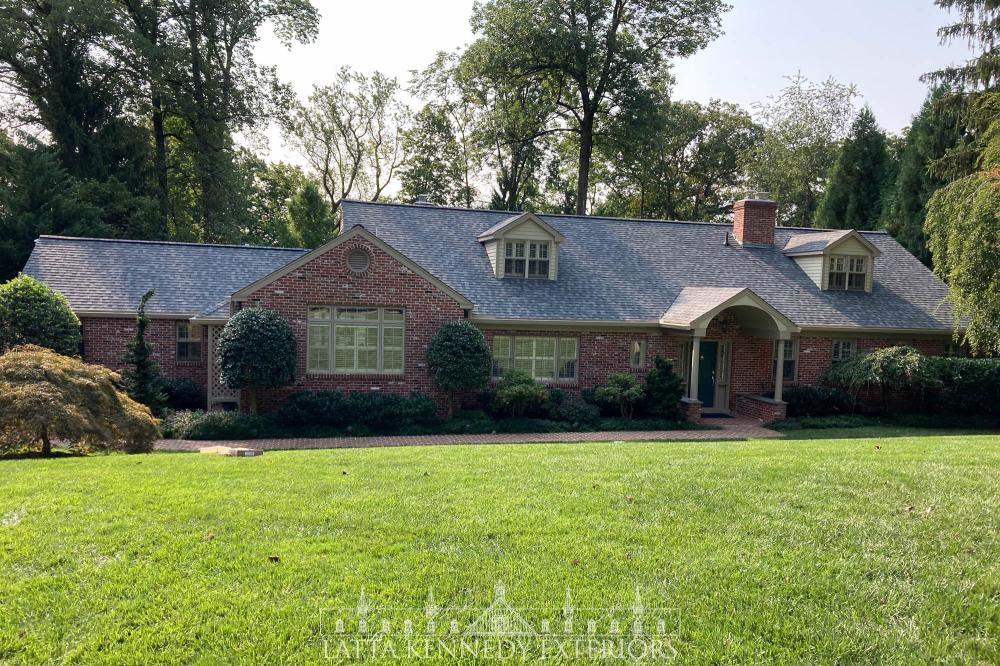 Incredibly Talented and Professional